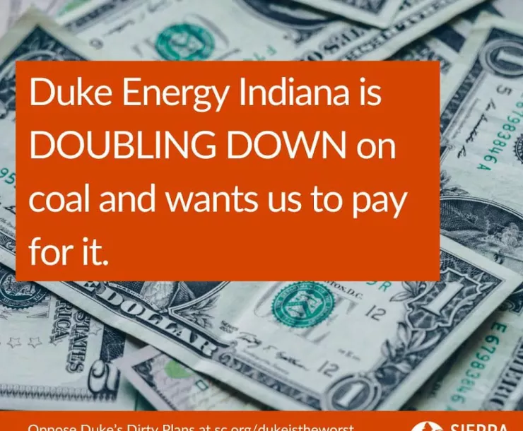 A graphic with backdrop of dollar bills, and yellow text on red stating Duke Energy is DOUBLING DOWN on coal and wants us to pay for it