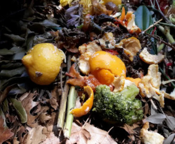 Compost