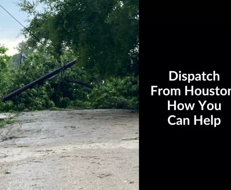 Photo of a tree downed on a power line. Text: Dispatch from Houston: How You Can Help