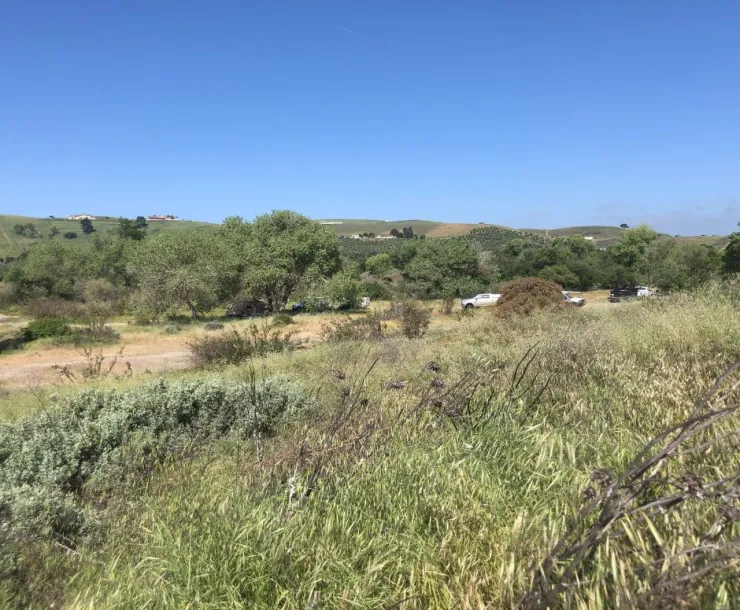 Nash Road Quarry