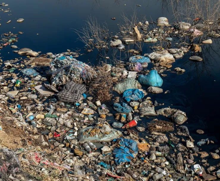 Trash along water