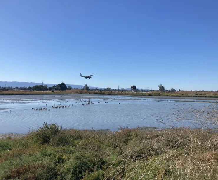 Airport at Baylands