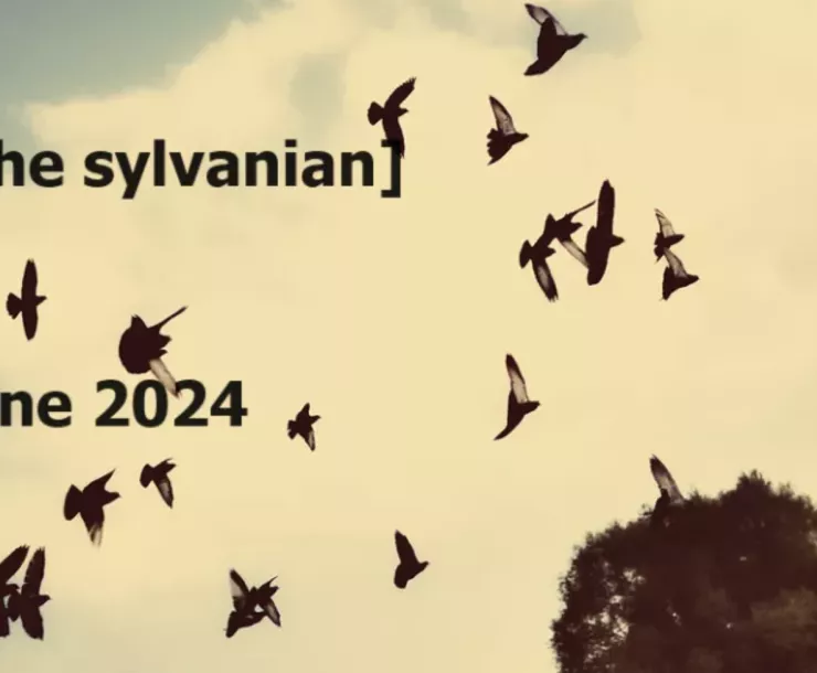 A flock of birds silhouettes against a pale yellow-orange cloudy sky.