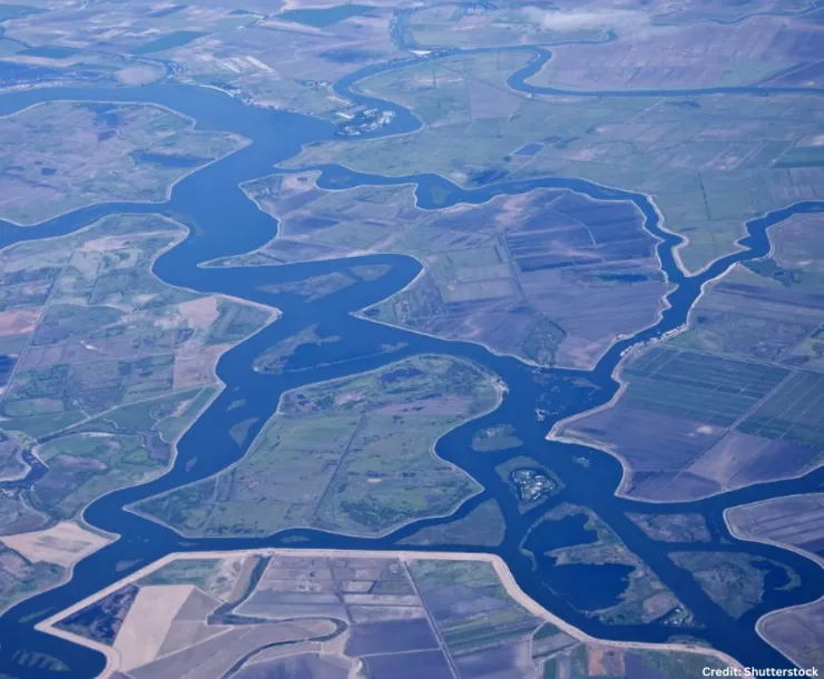 SF Bay Delta