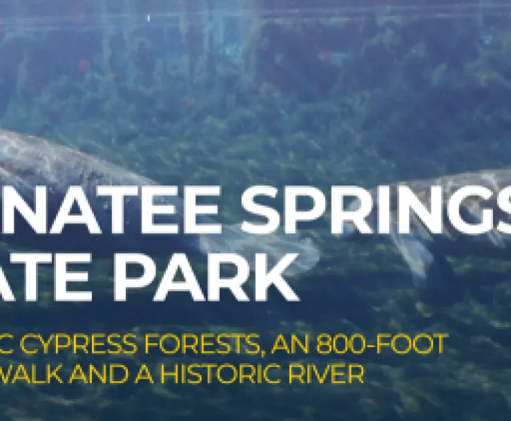 Manatee St Park