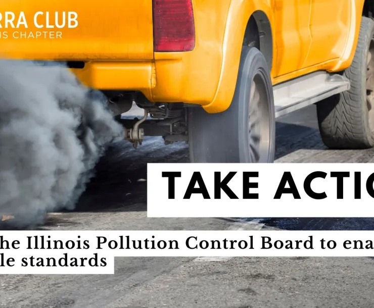 Take Action