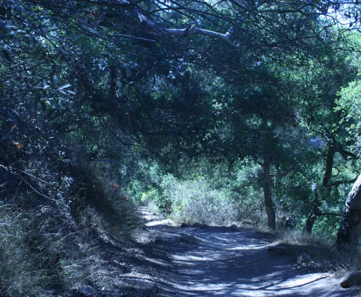 trail