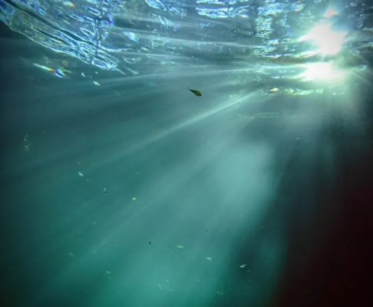 Spring water from beneath the surface