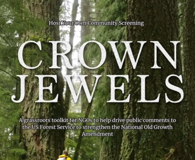 Crown Jewels documentary cover image