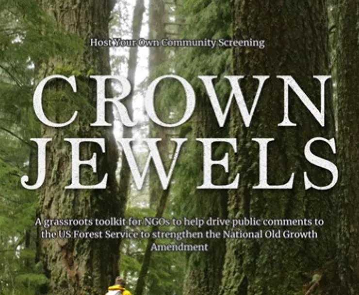 Crown Jewels documentary cover image