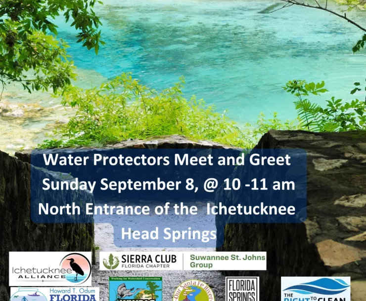 Main Spring Water pool at Ichetucknee Springs State Park