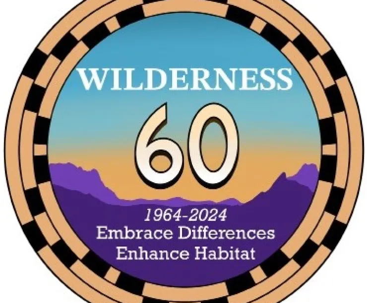 Wilderness 60