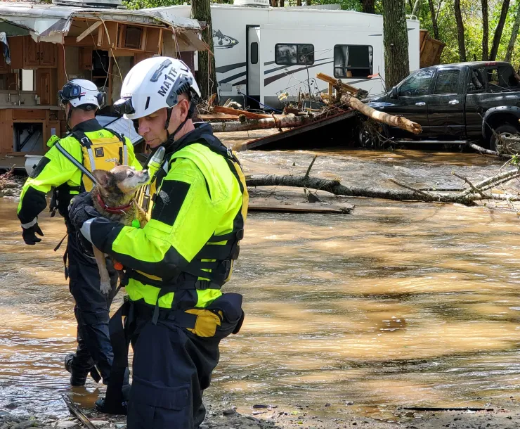 A FEMA worker holds a small dog as crews clear vehicles flooded by Hurricane Helene