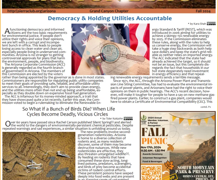 Image of 1st page of Canyon Echo Issue for Fall 2024