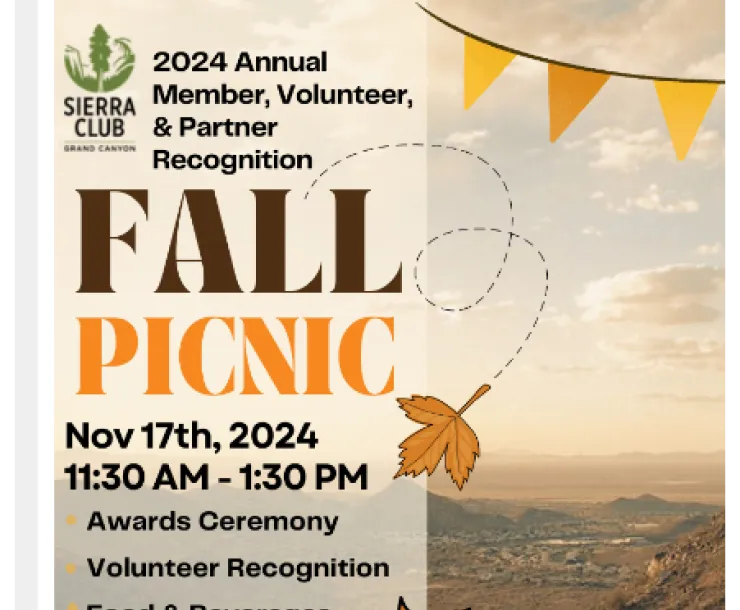 2024 Fall Recognition Picnic