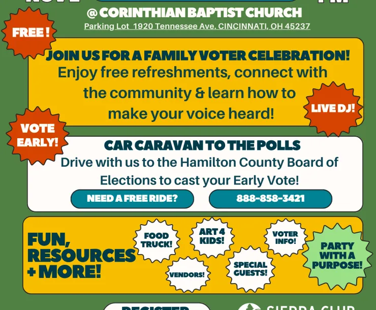Vote Mob