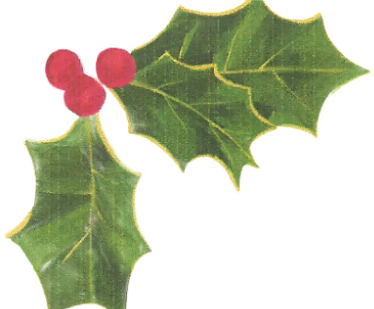 Holly