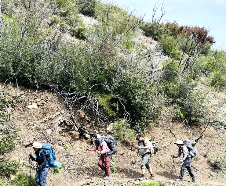 Four backpackers