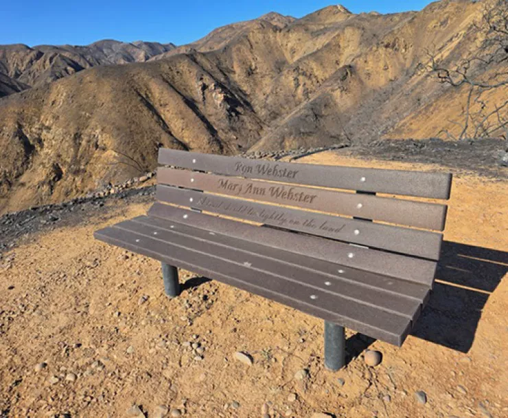 Ron and Mary Ann's memorial bench