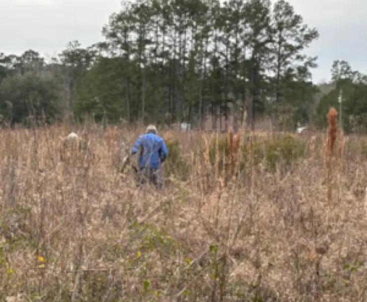 Marysee Prairie