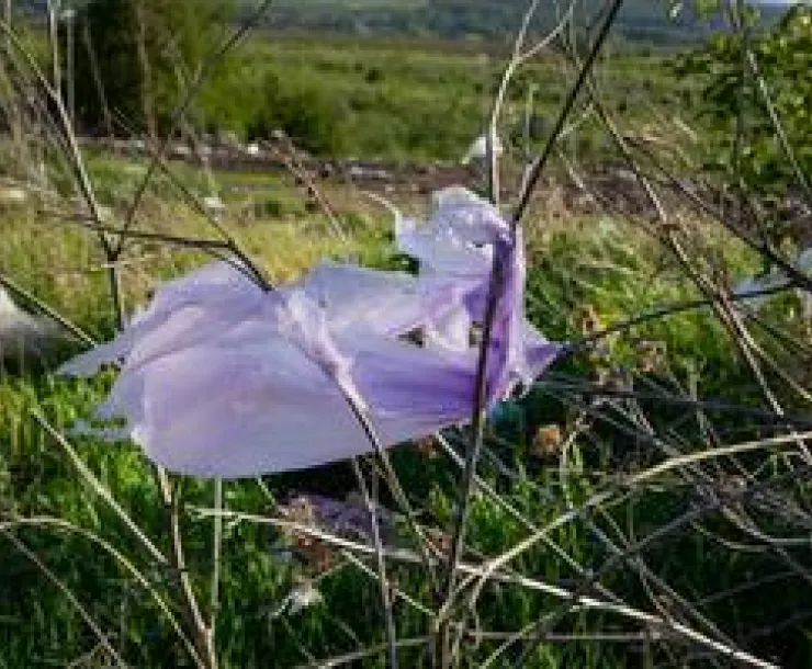 Plastic grocery bag