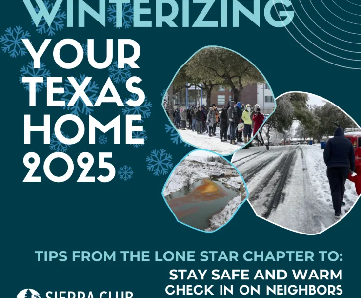 winterization graphic