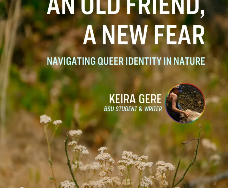 graphic with blog title text overlaid