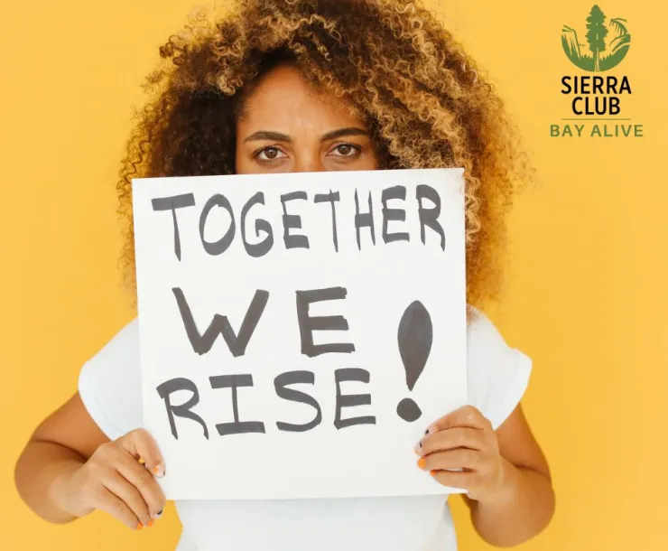 The Bay is Rising, let's rise to the challenge together