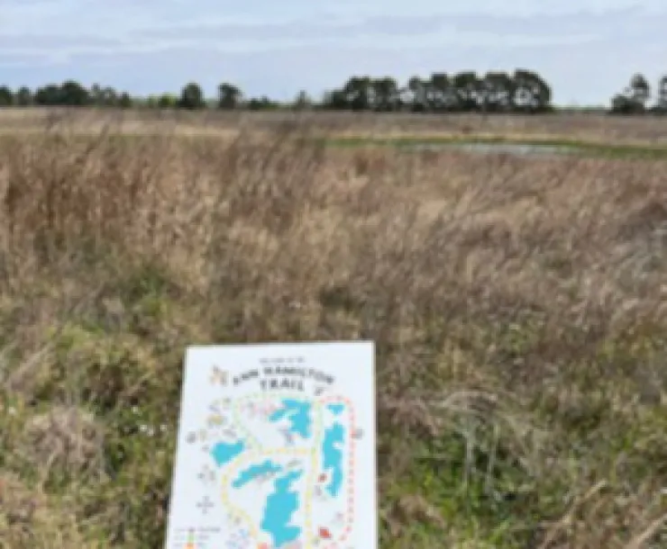 Katy Prairie