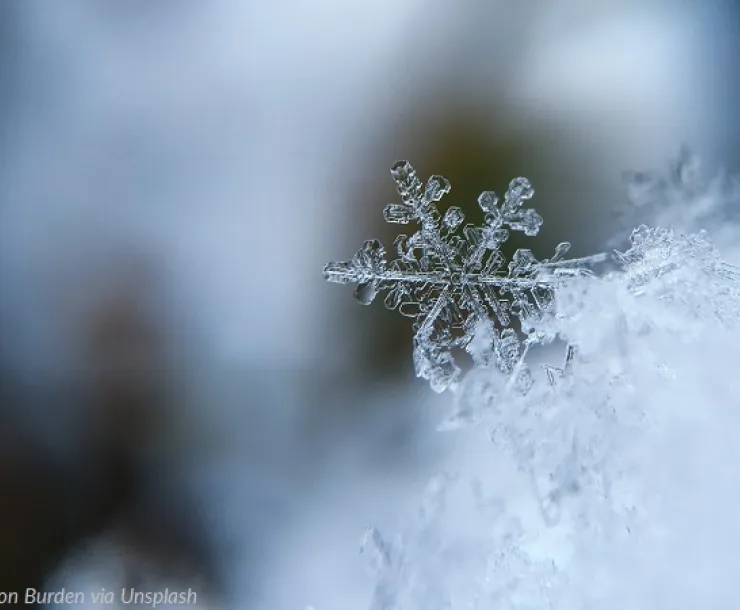Close-up of a snowflake on a pile of icy crystals