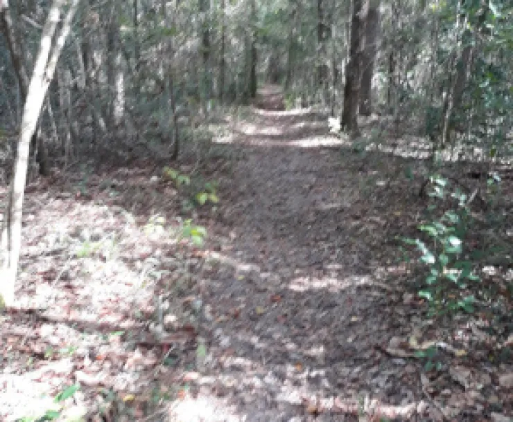 Big Creek Scenic Area