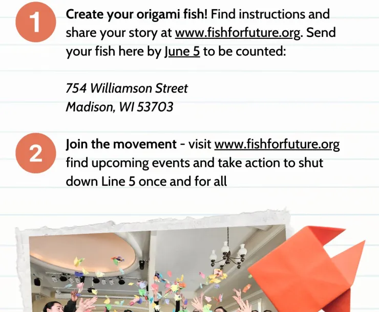 Let's Make a Splash graphic from Fish for the Future website