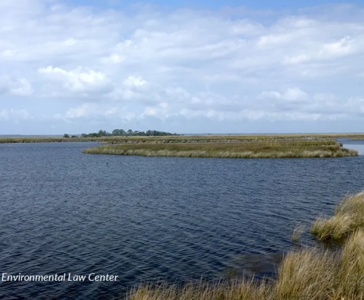 A wide view of Currituck Sound on a sunny day, by Bill Sublette of the Southern Environmental Law Center