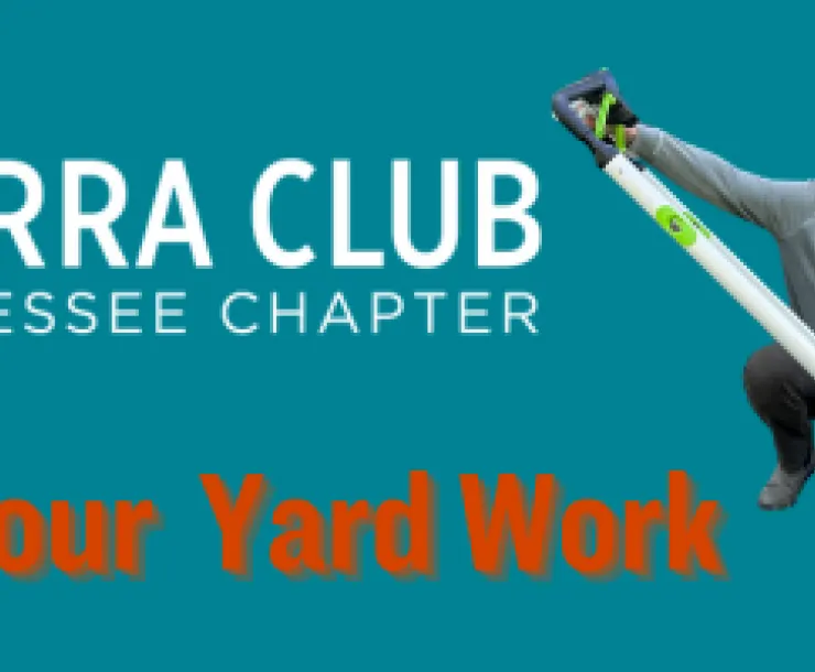 Banner with an electric lawn mower