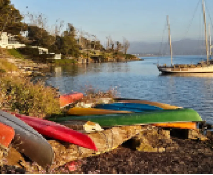 Boats in Water at Morro Bay