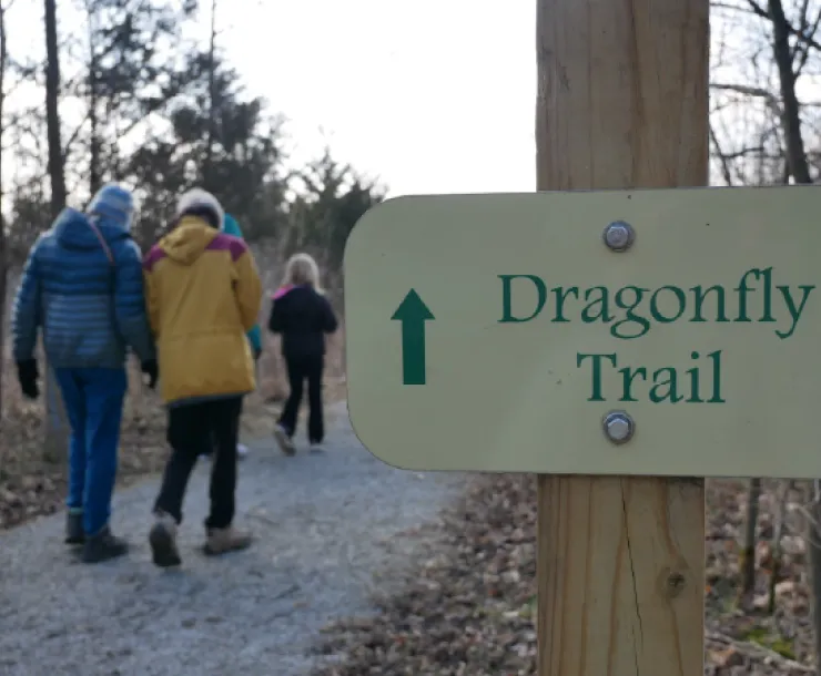 A trail with three people walking with their backs to the camera. There is a sign saying Dragonfly Trail with an arrow. There are brown leaves on the ground