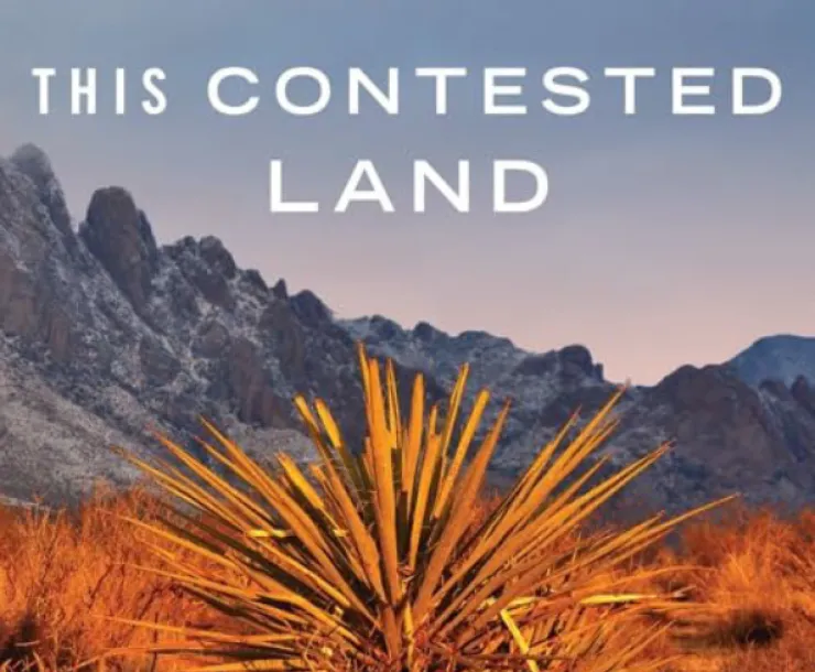 a plant in a desert landscape with mountains in the backgorund