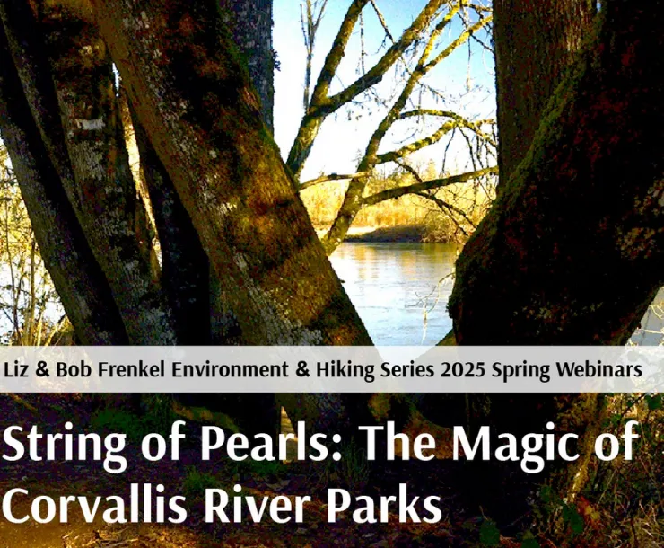 Spring Series graphic