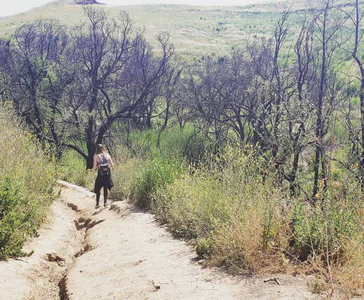 Woman hiking down a path, surrounded by trees and brush