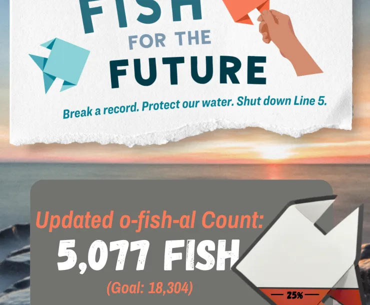 Updated Fish Count