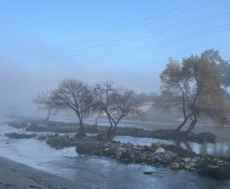 River with islands of trees