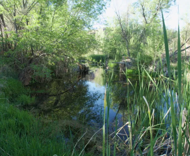 Upper Verde