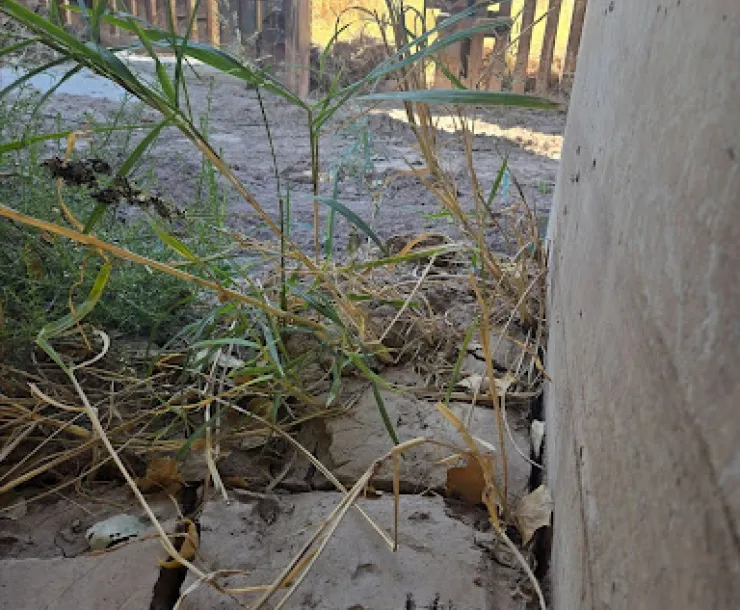 a pawprint pointing to a wildlife passage in the US-Mexico border
