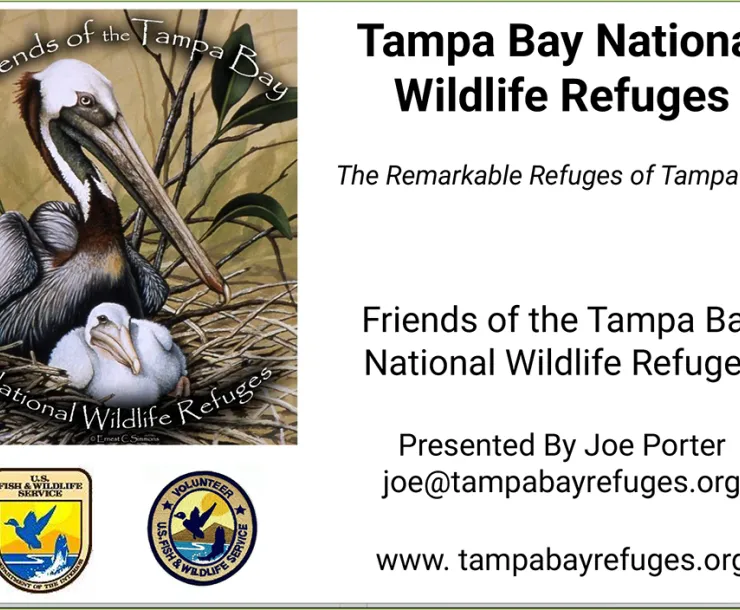 TB National Wildlife Refuge thumbnail