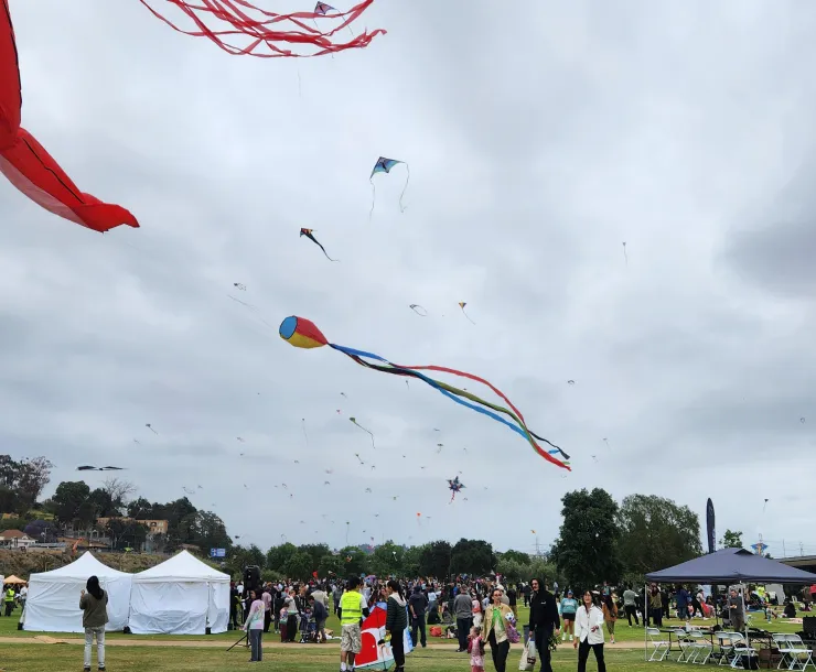 Kites flying at the festival