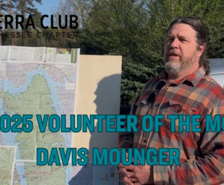 Davis Mounger VOTM