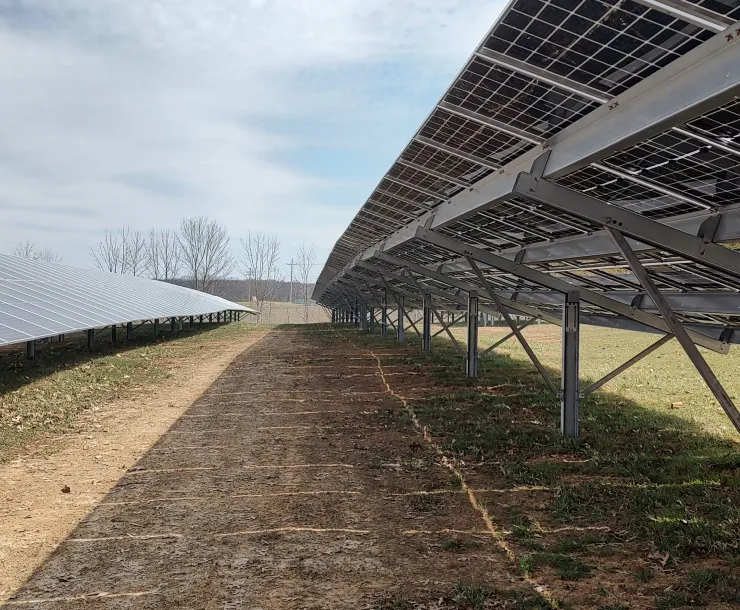 A solar array in an abandoned softball field.