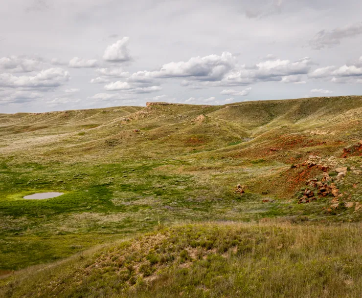circular depression in grasslands
