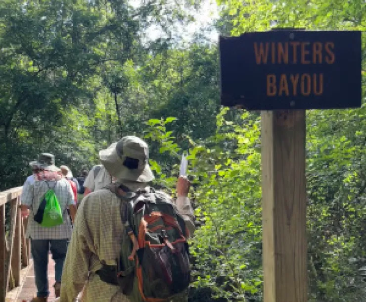 winters bayou