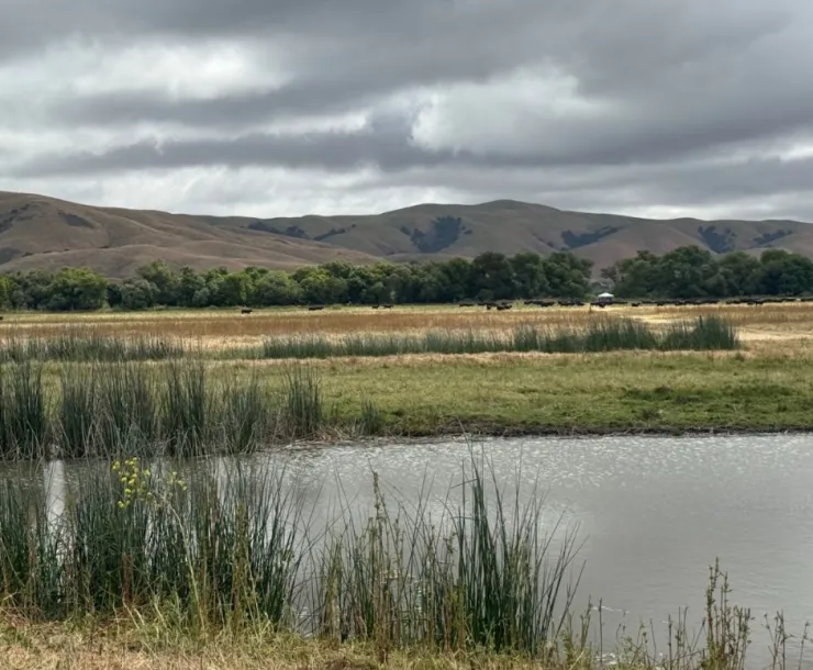 Soap Lake Ranch